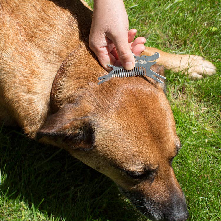 Ultimate Dog Adventure Bundle | Hydration, Hiking &amp; Healthy Treats
