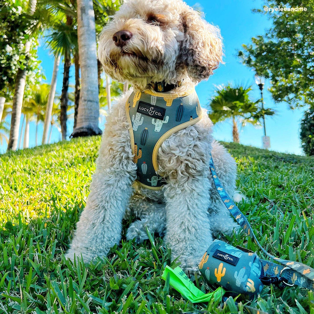 Looking Sharp Poop Bag Holder