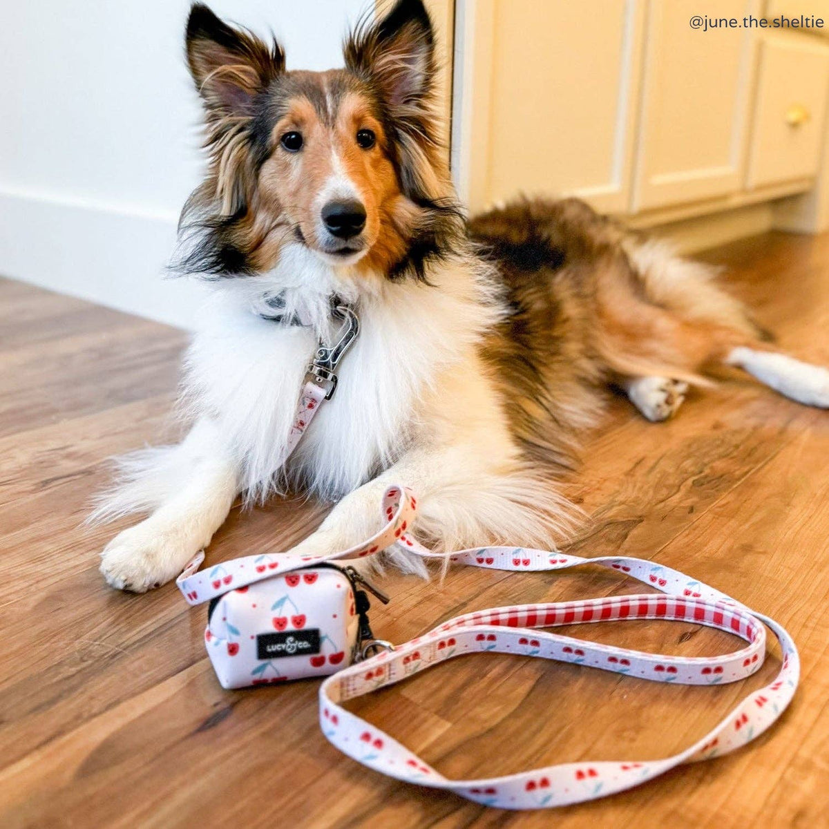 Cheery Cherries Poop Bag Holder