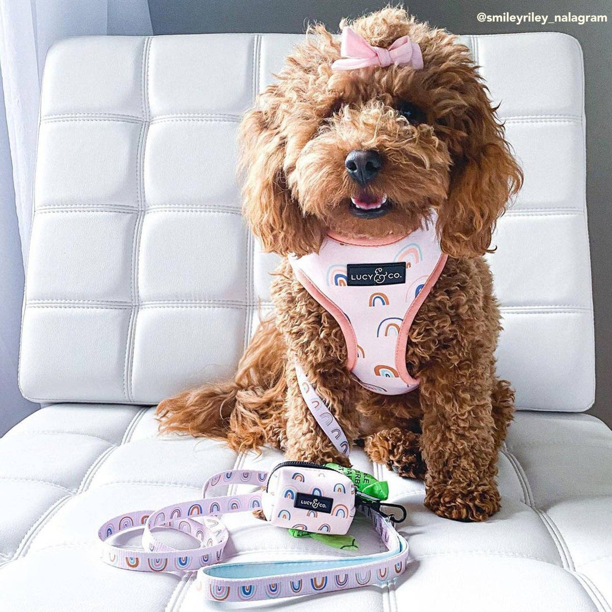 In the Clouds Poop Bag Holder