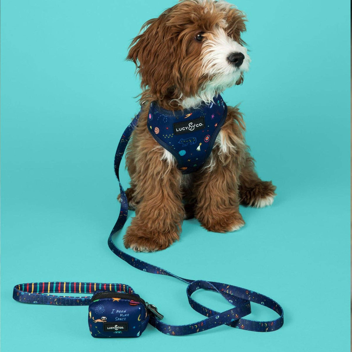 Space Doodle Poop Bag Holder
