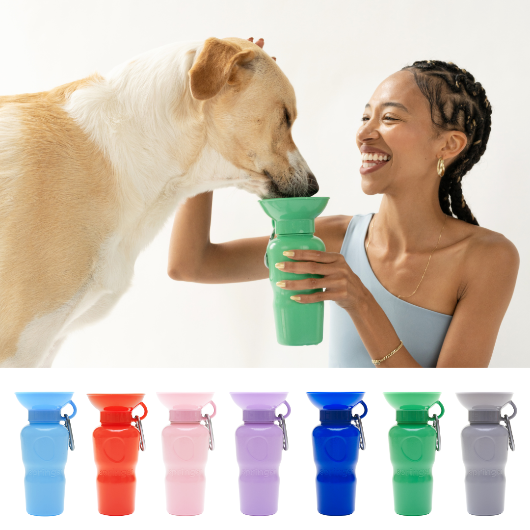 Award-Winning Springland Dog Travel Water Bottle | As Seen on Shark Tank & Oprah's Favorite Things