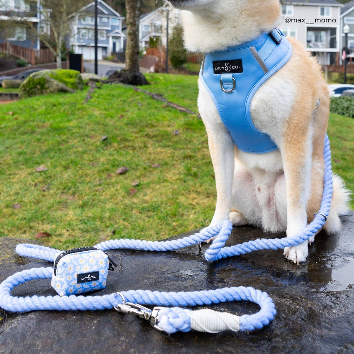 Simply Splendid Poop Bag Holder
