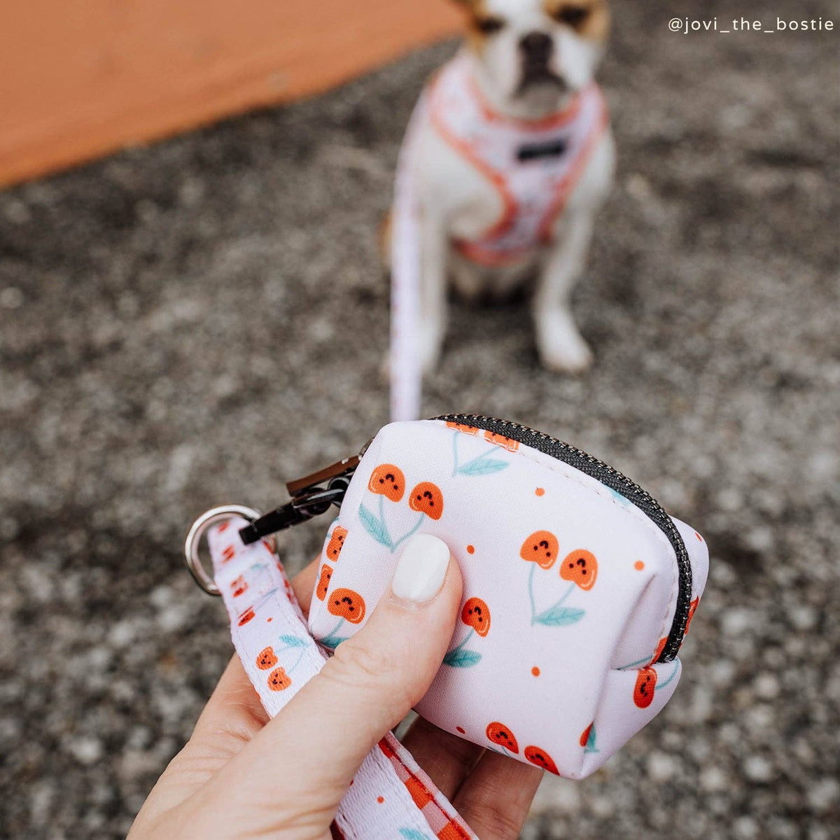 Cheery Cherries Poop Bag Holder