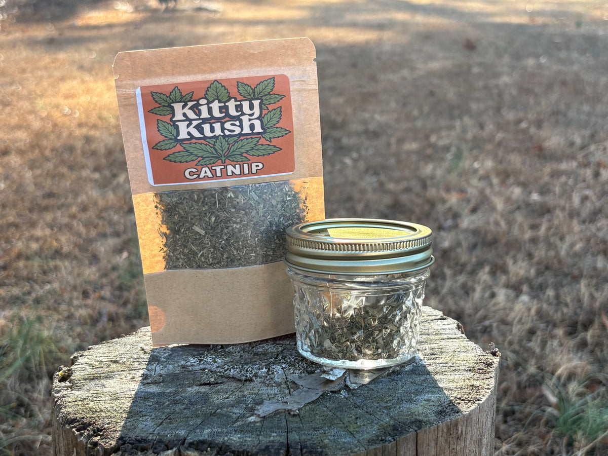 Kitty Kush – Freeze-Dried Catnip (8g)