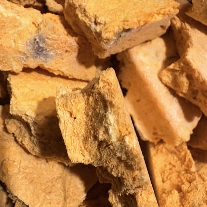 Pawvisions Sample Pack
