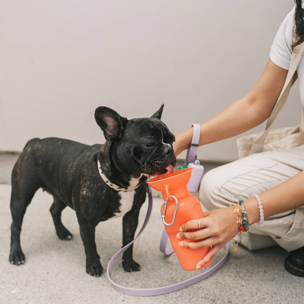 Award-Winning Springland Dog Travel Water Bottle | As Seen on Shark Tank & Oprah's Favorite Things